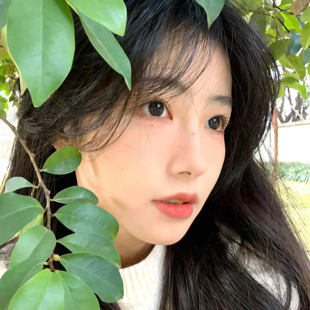 心智游戏